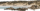 demo-attachment-298-Background-copy-2